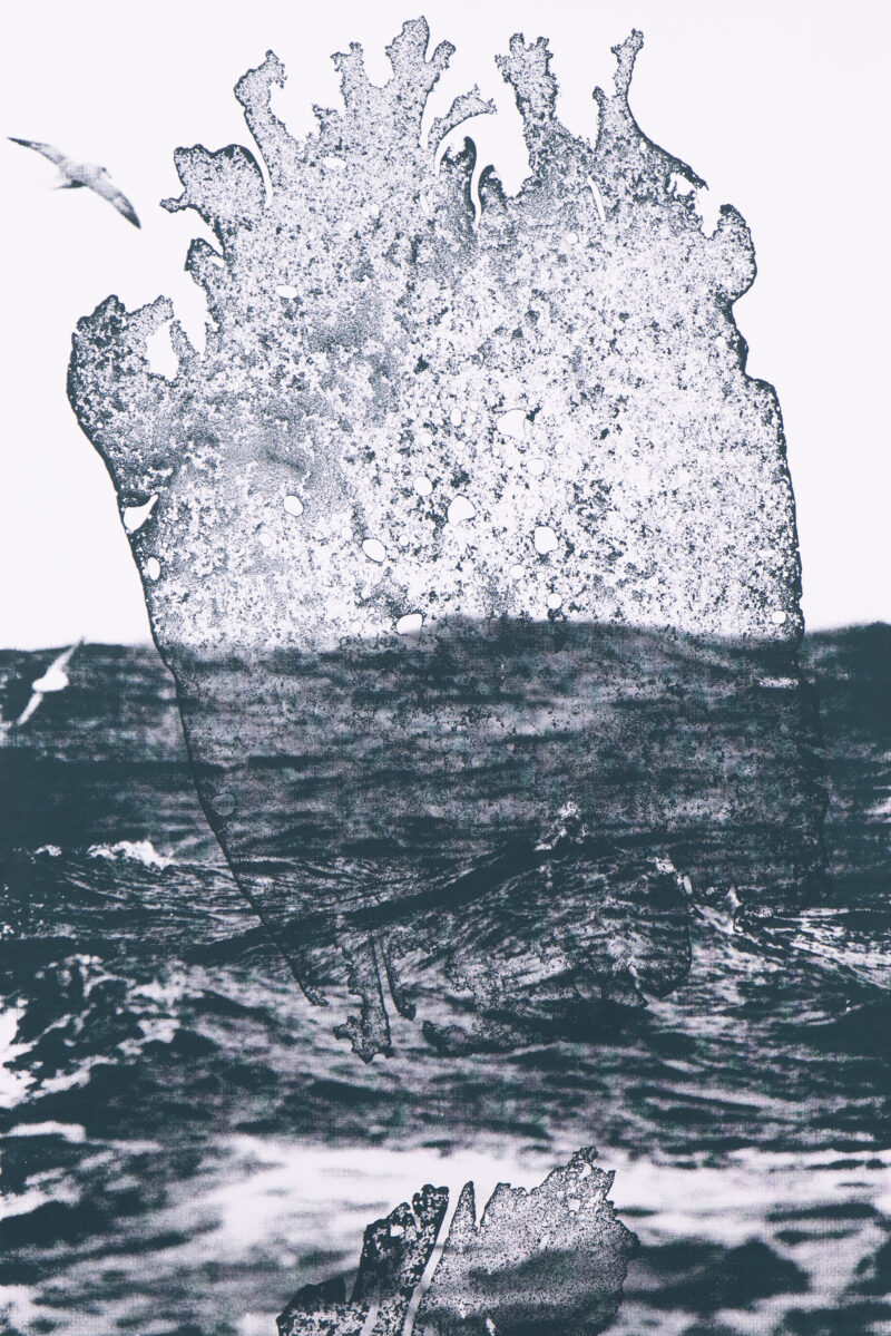 print#8 – Image 2
